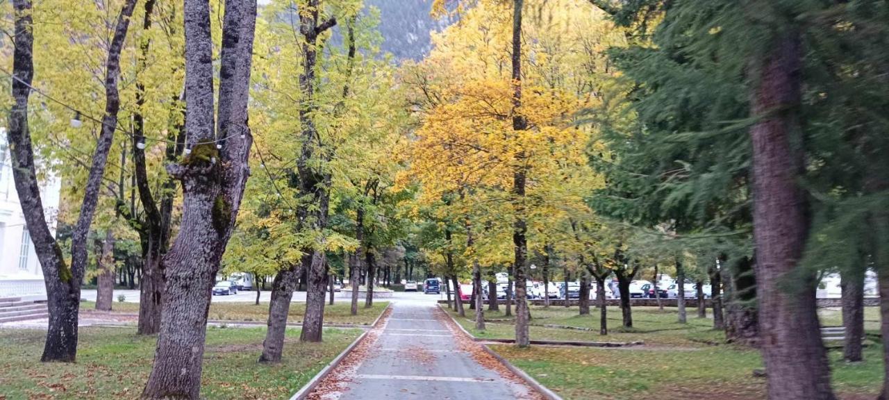 Apartamento Argualas V Wowrural Panticosa Eksteriør billede